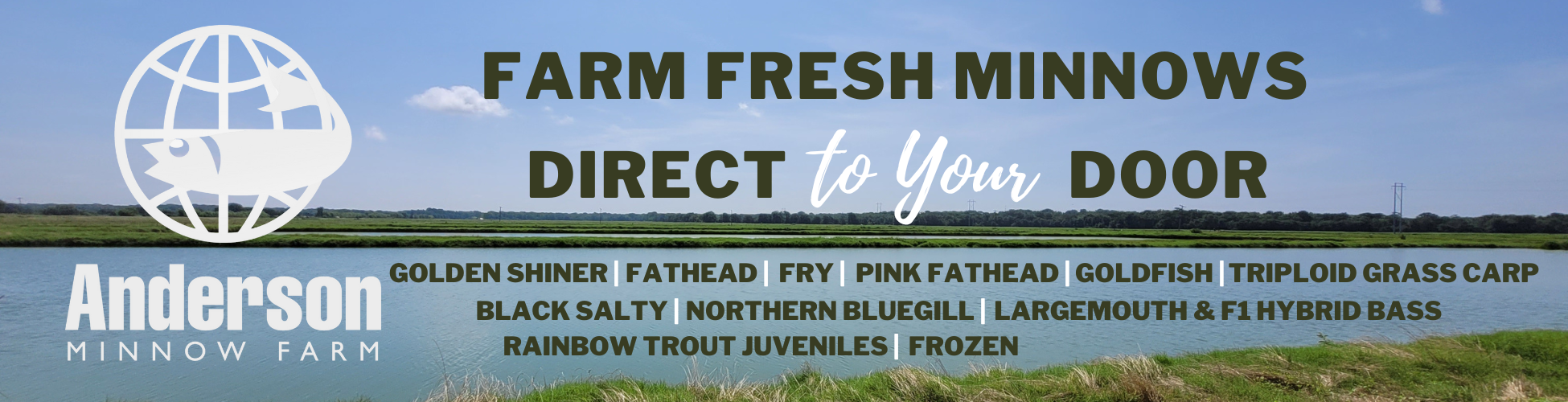 Anderson Minnow Farm