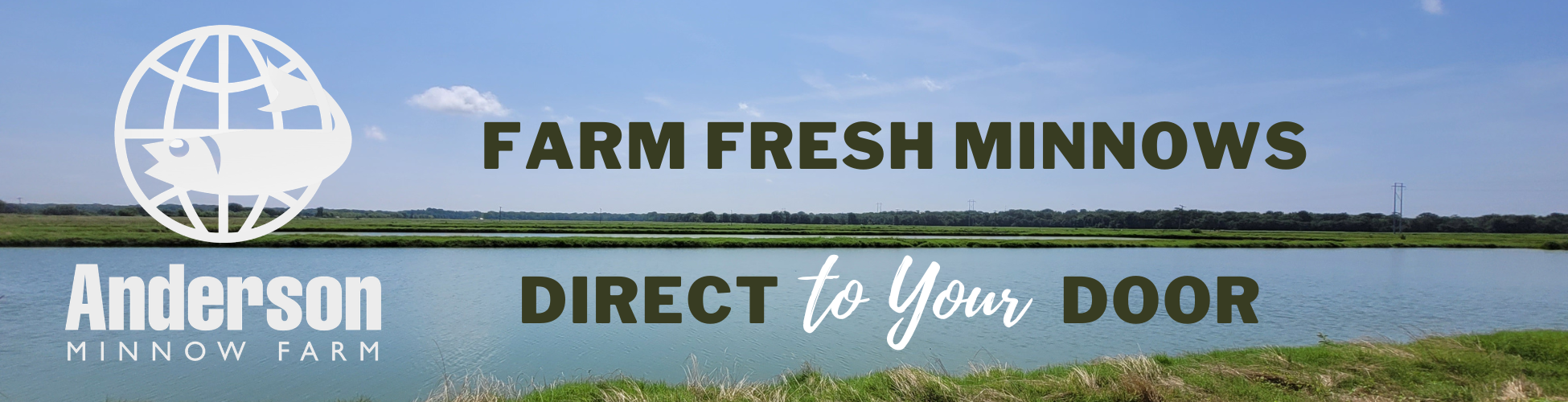 Anderson Minnow Farm